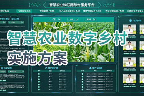 智慧农业数字乡村实施方案